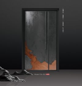 精工装甲入户门FDL-013