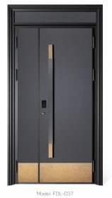 精工装甲入户门FDL-037